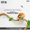 Breaking the Smoke Screen: Debunking Myths About Tobacco (World Anti Tobacco Day)