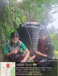 ENVIRONMENT DAY