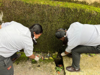 WORLD ENVIROMENT DAY 2025