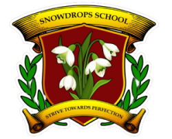 Snowdrops School News